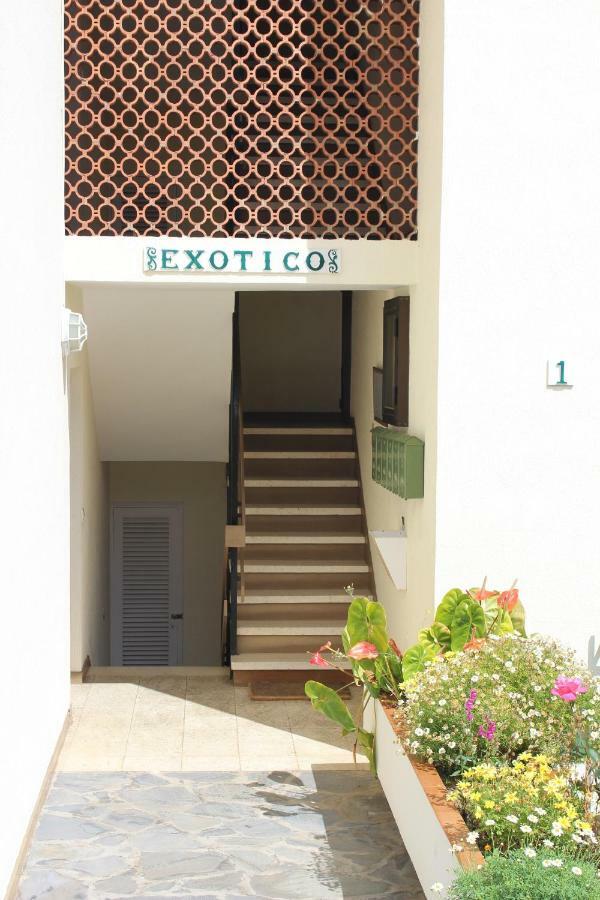 Holidaynorthtenerife Exotic Apartament Los Realejos Exterior photo